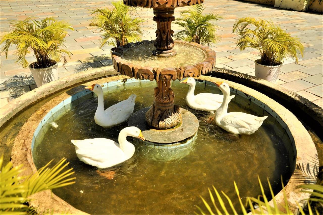 Alcor Spa Resorts Kumbhalgarh Exterior photo